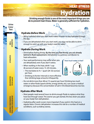 Guide to Proper Hydration (FREE)